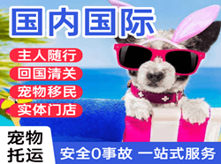 西昌青山航空货运国际宠物托运 【国
